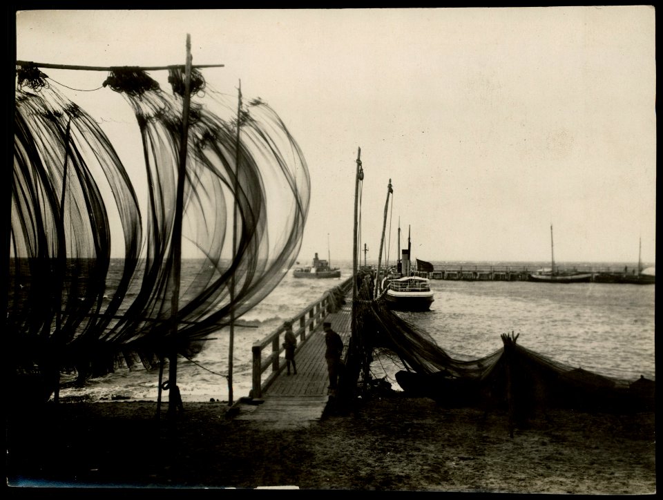 Hel, sieci na sledzie w porcie 1916-1924 (39798729)