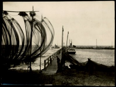 Hel, sieci na sledzie w porcie 1916-1924 (39798729)