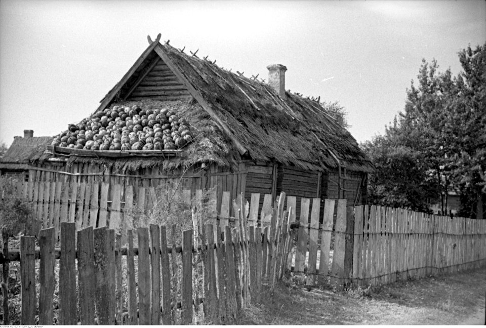 Henryk Poddębski - Chata w Zajezierzu (131-1019)