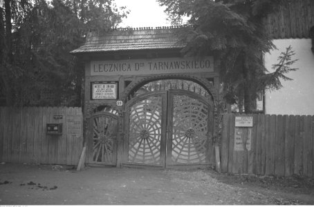 Henryk Poddębski - Kosów (131-1874)
