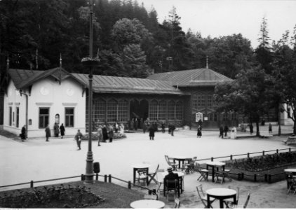 Henryk Poddębski - Krynica (131-I-15-1)