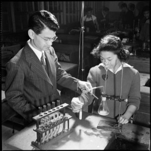 Heart Mountain Relocation Center, Heart Mountain, Wyoming. Scene in the Chemistry class at the Hear . . . - NARA - 539467
