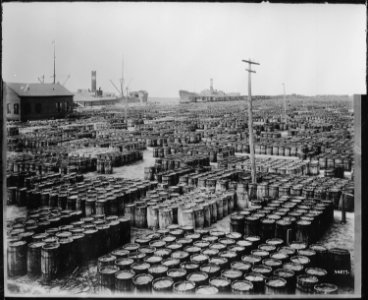 Hundreds of wooden barrels covering the docks at the resin yards, Savannah, Georgia - NARA - 523025