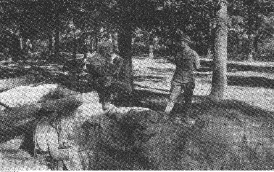 I Brygada Legionów. (22-136)