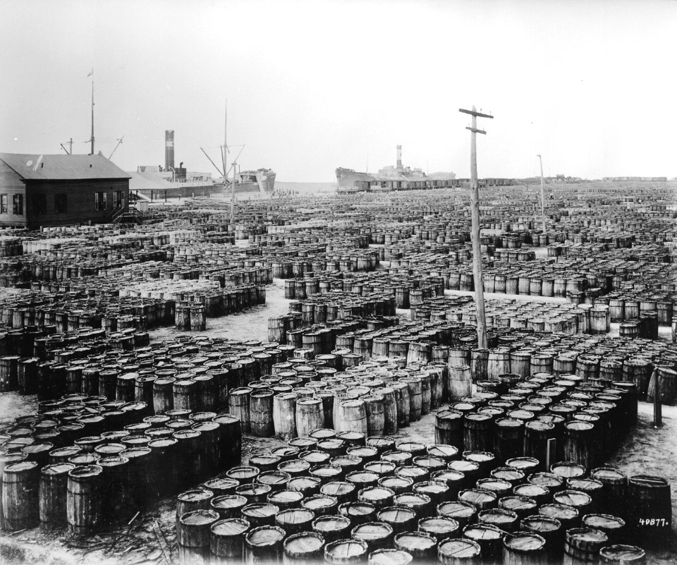 Hundreds of wooden barrels covering the docks at the resin yards, Savannah, Georgia, 1903 - NARA - 523025