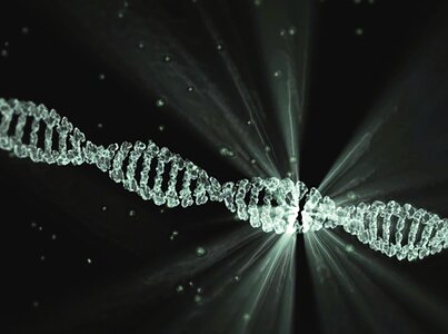 Dna project lumina walter waymann