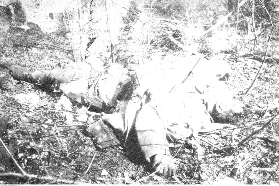 Ignacy Paweł Fudakowski - Rosyjski 12 Dywizjon Artylerii Moździerzy na Wołyniu (94-101-2)