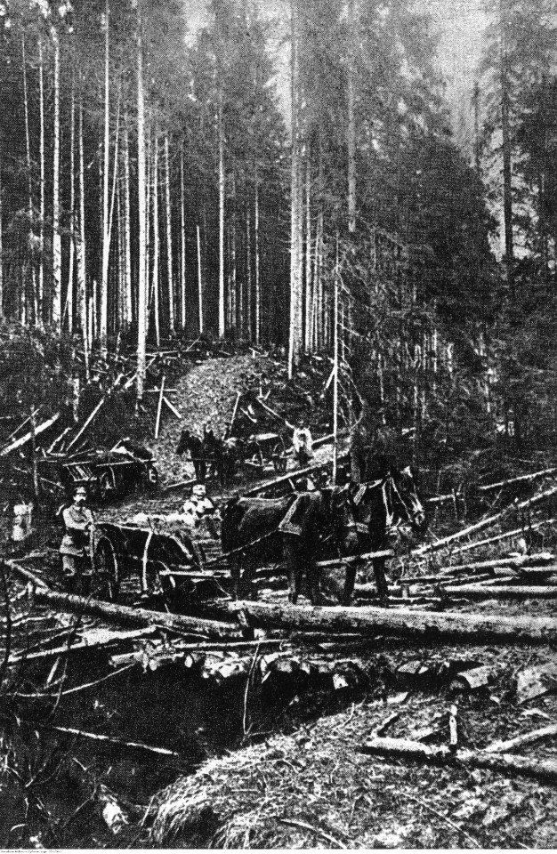 II Brygada Legionów podczas walk w Karpatach (22-126-1)