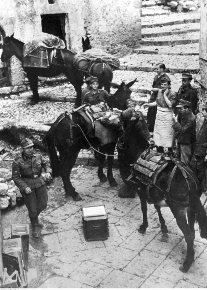 II wojna światowa - kampania we Włoszech (2-2395)