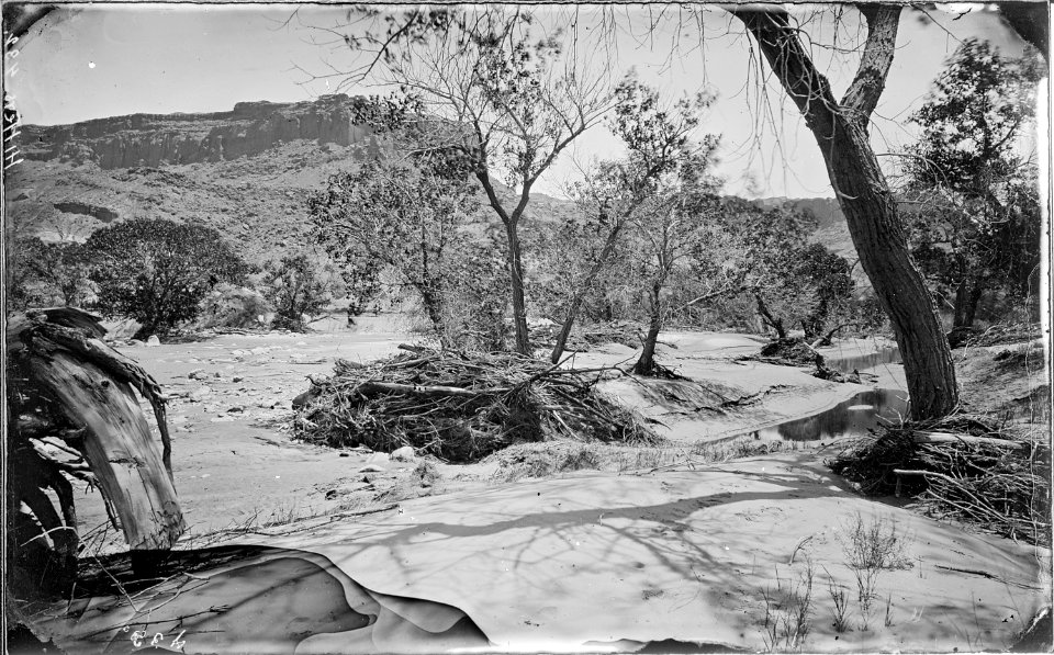 In Glen Canyon. Same as 780 and glass negative destroyed. Colorado River. Note, original 432 was captioned in... - NARA - 517796