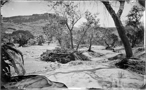 In Glen Canyon. Same as 780 and glass negative destroyed. Colorado River. Note, original 432 was captioned in... - NARA - 517796 photo