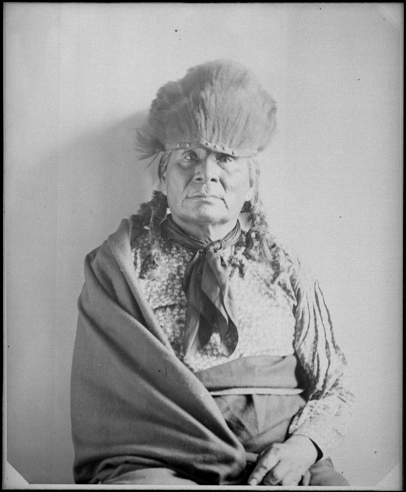 Indian portrait, bust - NARA - 523599