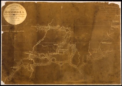 Information Map of Part of Georgia (in the vicinity of Pumpkin Vine Creek). Printed at Engr. Office, Head-Q's. Dep't.... - NARA - 305645