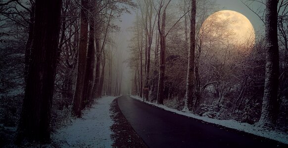 Fog moon snow photo