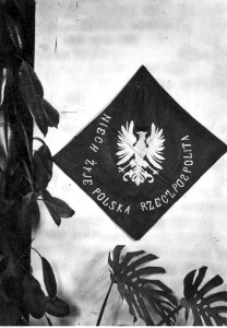 J. Płocharz - Sztandar komendy miejscowej N. II Polskiej Organizacji Wojskowej gmina Torabin. (22-202-2)