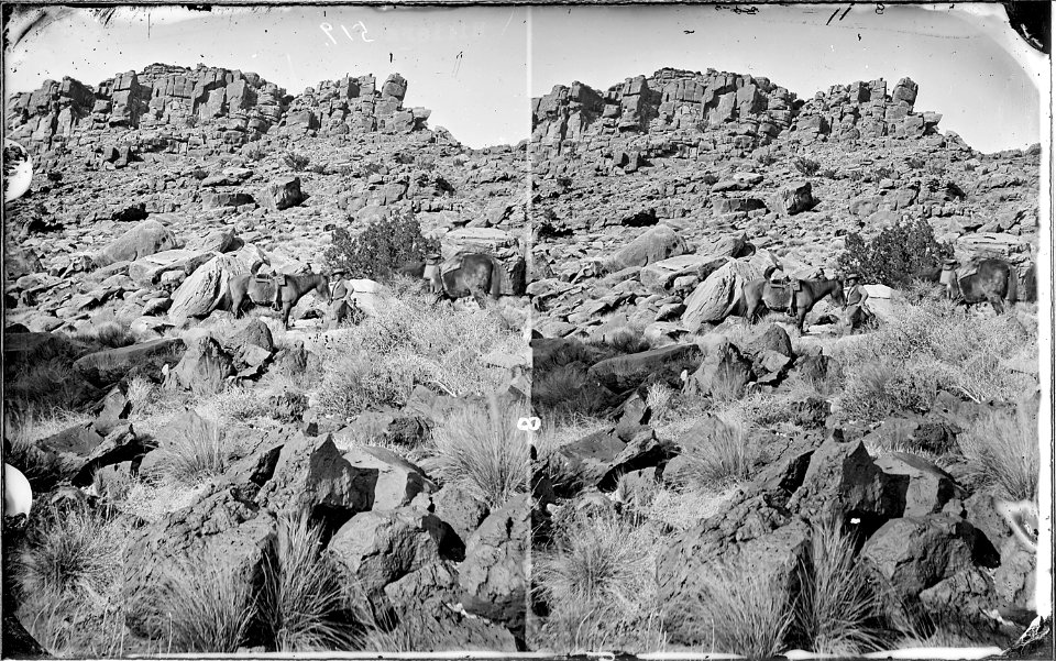 Jack Hillers. About halfway up the mountain with two saddle horses. Old nos. 300, 405. - NARA - 517850