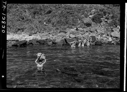 Jap soldiers climb out of rocks and bushes of Kerama-retto and into water to give themselves up to crew of picket boat. - NARA - 520957