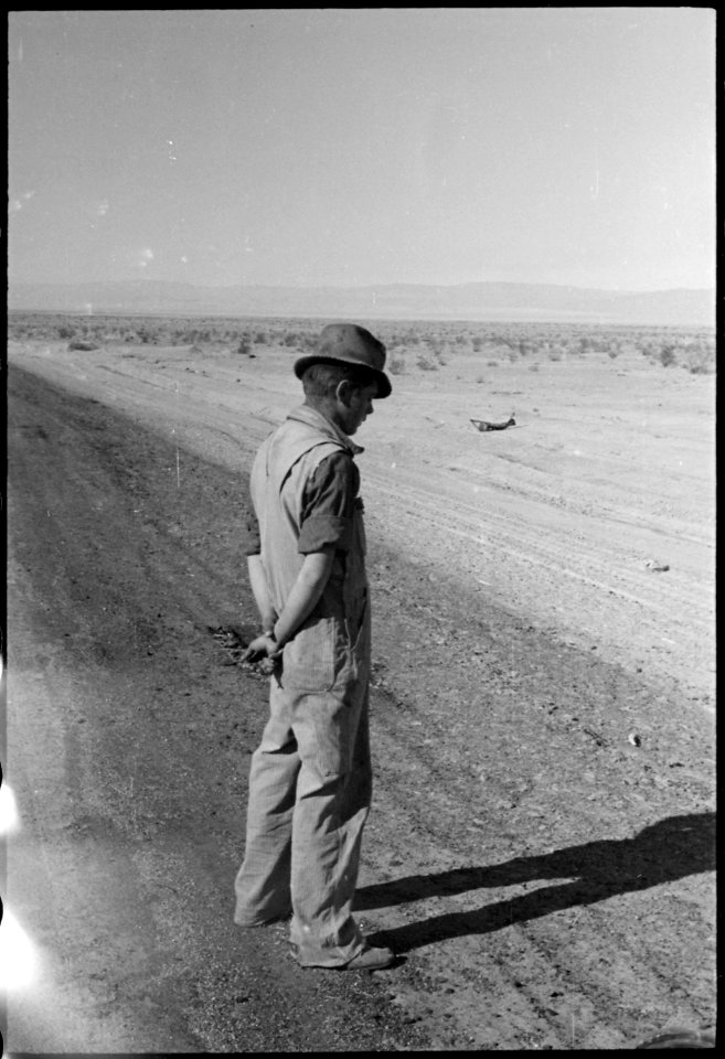 Imperial Valley, California. Miscellaneous. Young migrant's first view of irrigated California. - NARA - 532175