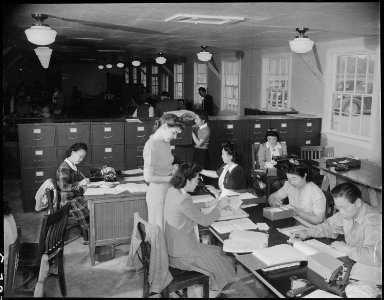 Jerome Relocation Center, Denson, Arkansas. An interior view of the Personnel Records Section heade . . . - NARA - 538874