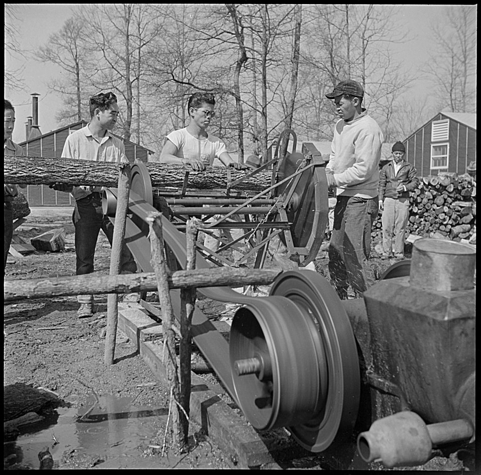 Jerome Relocation Center, Denson, Arkansas. Chief source of fuel for heating barracks, at the Jerom . . . - NARA - 539342