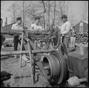Jerome Relocation Center, Denson, Arkansas. Chief source of fuel for heating barracks, at the Jerom . . . - NARA - 539342