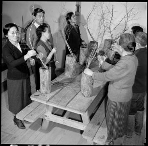 Jerome Relocation Center, Denson, Arkansas. Former California residents of Japanese ancestry, who n . . . - NARA - 539312