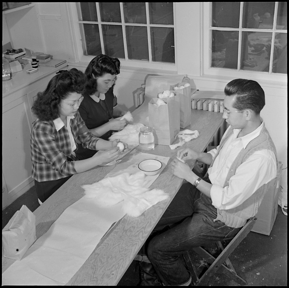 Jerome Relocation Center, Denson, Arkansas. Hospital assistants preparing bandages and gauze sponge . . . - NARA - 539320