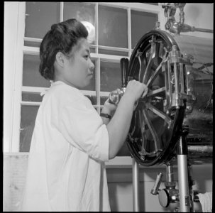 Jerome Relocation Center, Denson, Arkansas. Kiyo Hase, Chief of the hospital laboratory staff, oper . . . - NARA - 539319