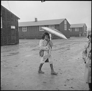 Jerome Relocation Center, Denson, Arkansas. The Arkansas rainy season, and this young resident of t . . . - NARA - 539345