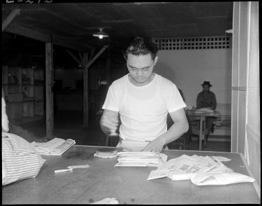 Jerome Relocation Center, Denson, Arkansas. Masaki Hironoka, Chief Postal Orderly, cancelling mail . . . - NARA - 538865