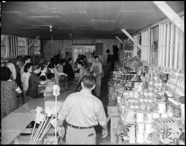 Jerome Relocation Center, Denson, Arkansas. The Interior of the cooperative store in Block 8, from . . . - NARA - 538884