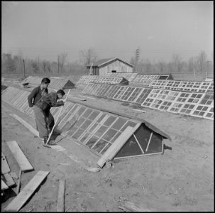 Jerome Relocation Center, Denson, Arkansas. Two young former California residents of Japanese ances . . . - NARA - 539313