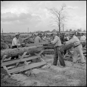 Jerome Relocation Center, Denson, Arkansas. Woodcutting for fuel on the central square. The wood c . . . - NARA - 538843