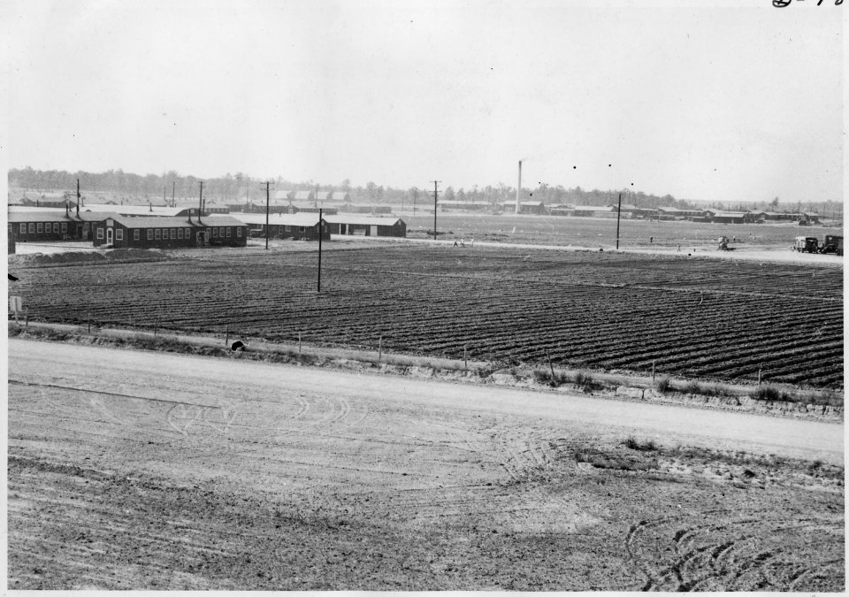 Jerome Relocation Center, Dermott, Arkansas. Radishes and mustard in the brag patch right after i . . . - NARA - 537308