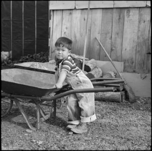 Jerome Relocation Center, Dermott, Arkansas. Small boy at the Jerome Relocation Center. - NARA - 539562