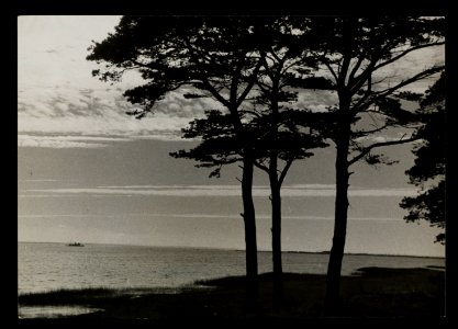 Jastarnia nad zatoka ante 1939 (67263979) photo