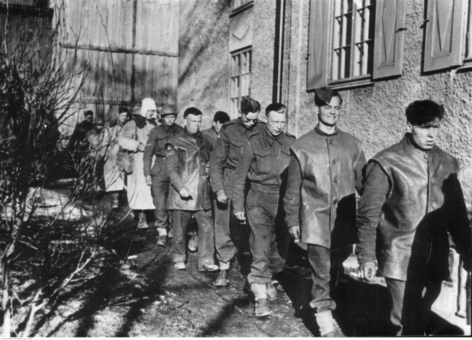 Jeńcy angielscy spod Lillehammer (2-456)