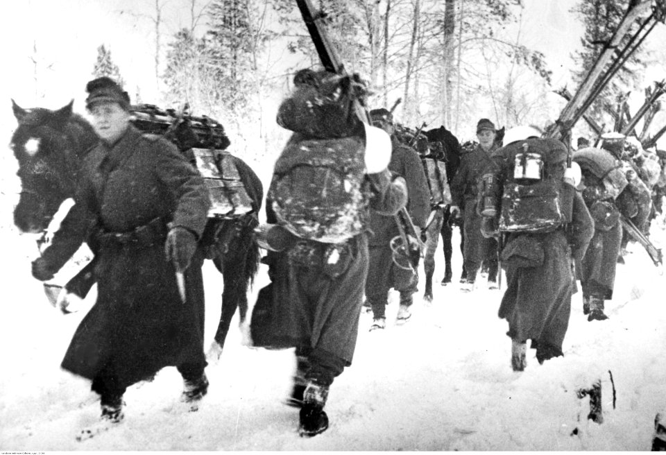 Jednostki niemieckie w lasach pod kręgiem polarnym (2-766)