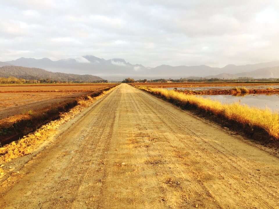 Road landscape nature