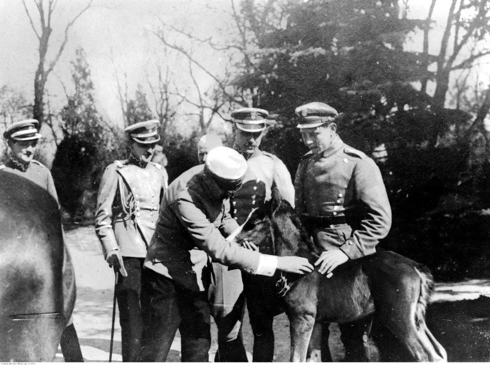 Józef Piłsudski z kasztanką (22-559-1)