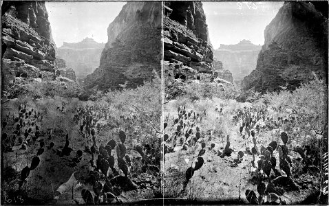 Kanab Canyon. Near Grand Canyon, Grand Canyon National Park. Old nos. 457, 484, 618. Good view of - NARA - 517876