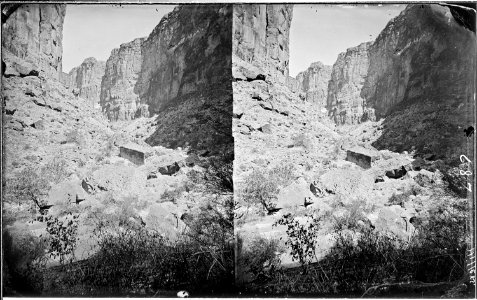 Kanab Canyon. Old nos. 494, 467, 687 - NARA - 517920