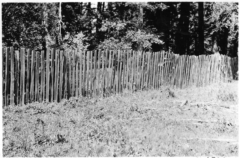 Kid or Goat Fence, Davis Bros. Ranch, Ashland, Oregon, Crater Forest, 1917. - NARA - 299148