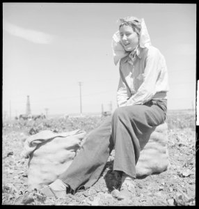 Kern County, California. Migrant youth in potato field - NARA - 532138