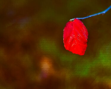 Outdoors red colour