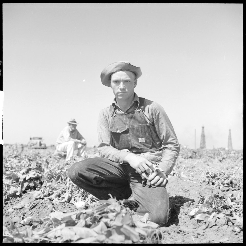 Kern County, California. Migrant youth in potato field. Waiting for the potato digger to come around again. This... - NARA - 532143