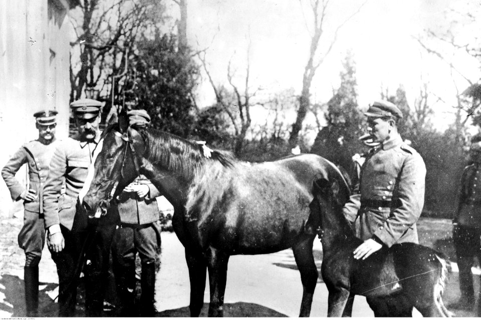 Józef Piłsudski z kasztanką (22-559-2)