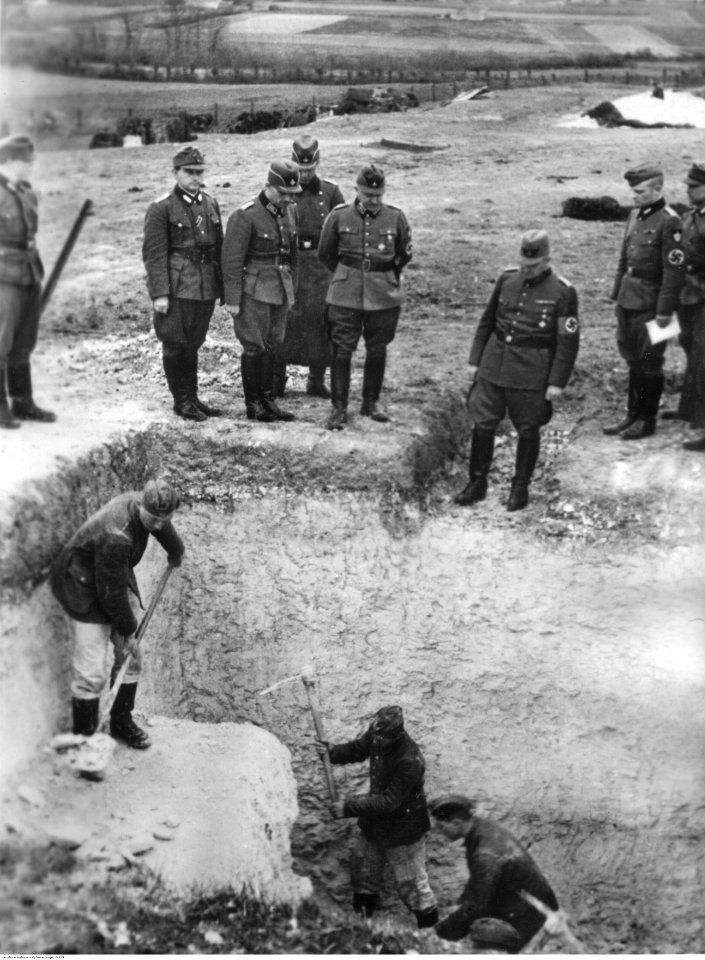 Konstantin Hierl podczas inspekcji na wybrzeżu Atlantyku (2-325)