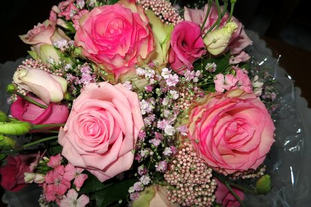 Pink roses bouquet Free photos