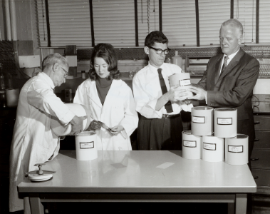 Laboratory staff examines first batches of new polymers 8049g5346 photo